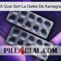 À Quoi Sert La Gelée De Kamagra 31